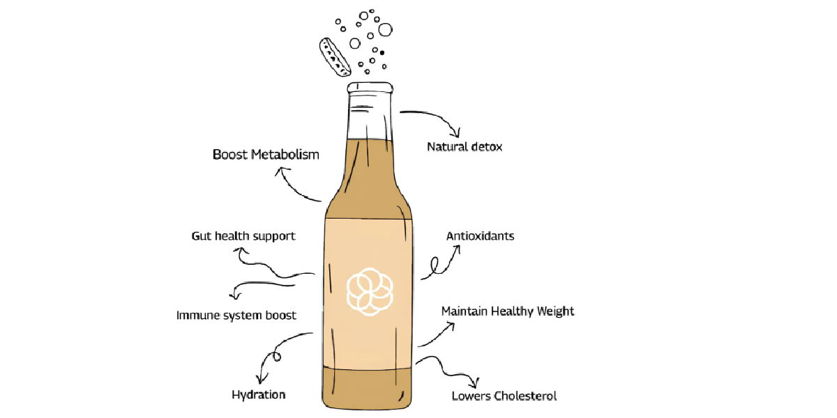 Top 5 Reasons to Make Sbooch Your Daily Detox: A Deep Dive into India's Sparkling Kombucha Revolution