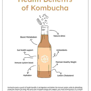 Health Benfit of Kombucha
