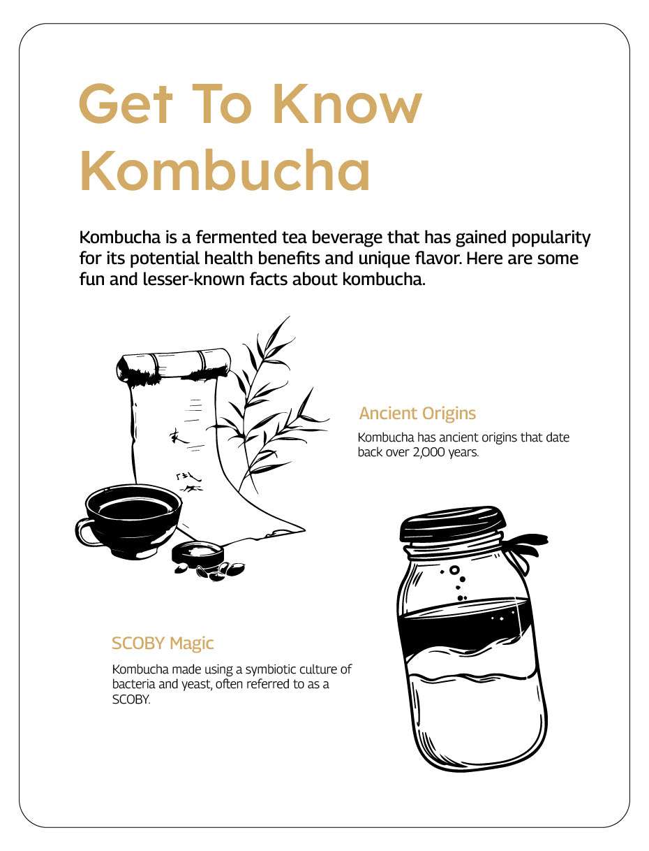 Benefits of Kombucha Drink
