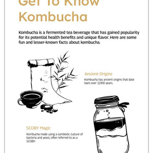 Benefits of Kombucha Drink
